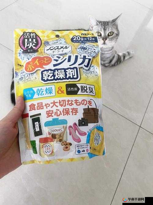 收纳达人猫粮分装秘籍：猫粮管理通关攻略大解析