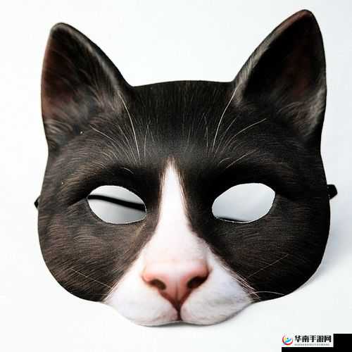 代号假面:隐秘面具下的真相追寻