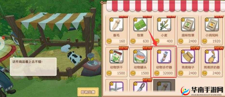 四季物语:动物健康守护指南,病痛治疗全攻略