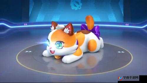 跑跑卡丁车手游新传说喵咪 9 购买价值及强度究竟如何