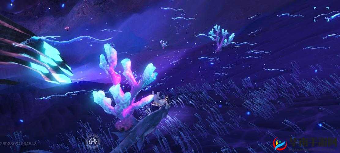 北冥深海探秘：妄想山海的海底通行指南