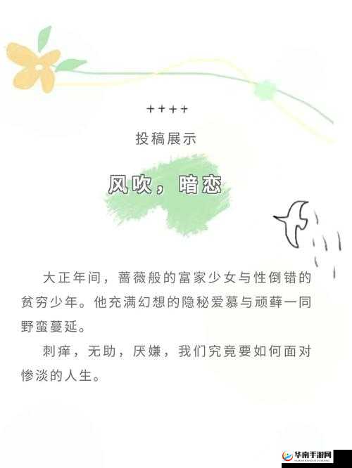 白藏主暗夜之旅：顽狐的隐秘攻略