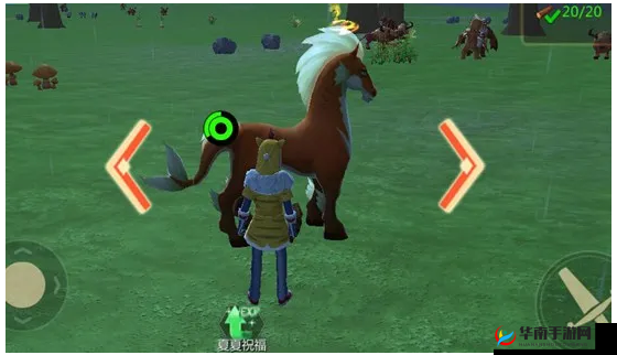 探索创造与魔法灰马抓捕攻略全揭秘