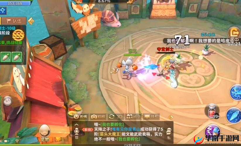 赛尔特大陆宠物玩法大揭秘：如何正确选择宠物