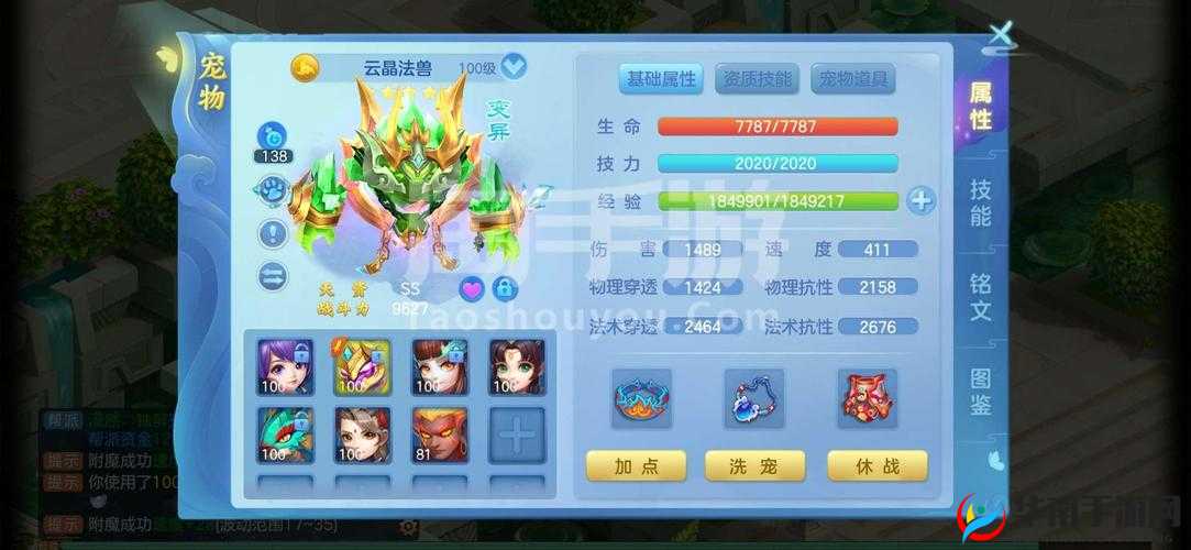 梦想世界3D圣骑职业技能深度解析:技能特点与运用策略探讨