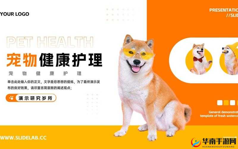 宠物护理店精心护理让您的爱宠更健康更快乐更迷人