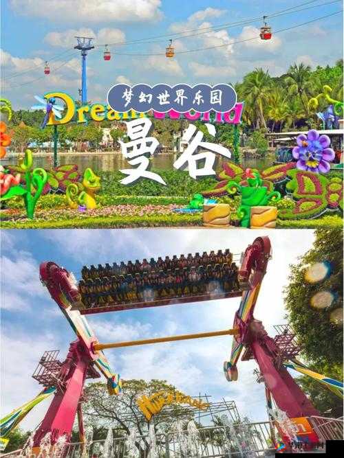 畅游梦幻世界，完美攻略指南