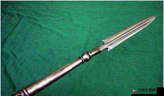 两把令人胆寒之枪究竟谁更胜一筹引发众人激烈探讨
