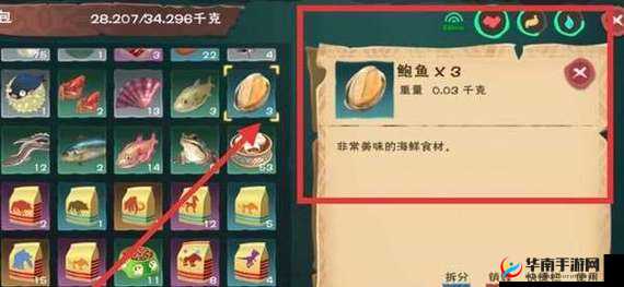 如何制作创造与魔法中的斑斓鹦鹉饲料