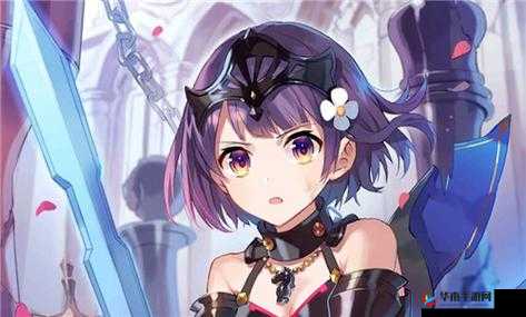 双生视界：西洋棋高奈利亚最强阵容搭配与武器精选指南