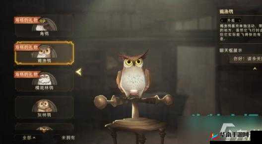 哈利波特魔法觉醒猫头鹰获取途径详细大揭秘
