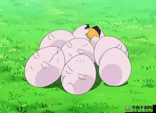 椰蛋树技能与宾果搭配:宝可梦大探险最强热带风情攻略