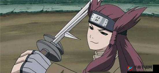 雷牙传承：探寻二代目忍刀使者之谜
