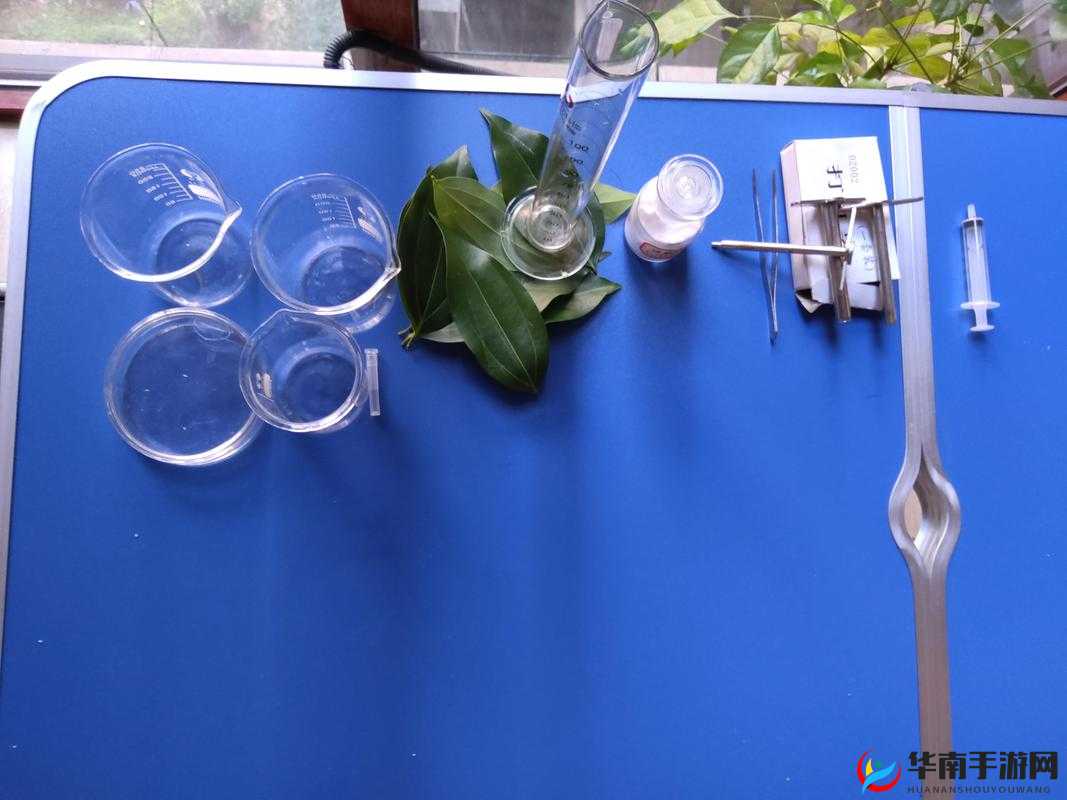 探究重伤的本质及其所带来的具体作用和影响到底如何