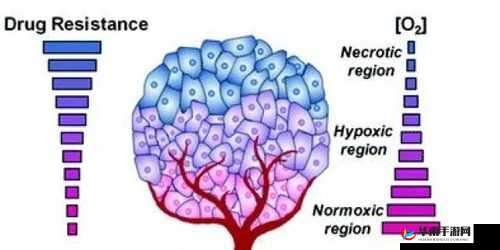 缺氧与愉悦之谜：揭秘低氧环境下的快乐触发机制