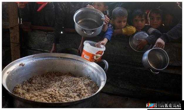 荒野生存指南：深度剖析饥荒中物资的自然生长机制
