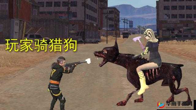 和平精英:轻松获得宠物狗,揭秘猎犬获取方式