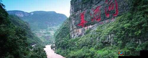 遇见逆水寒:合美酒赠英雄,谁将成为你的最佳酒友?美酒作用深度解析