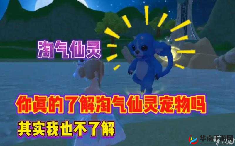创造与魔法：淘气仙灵，你的魔法伙伴是否值得拥有？