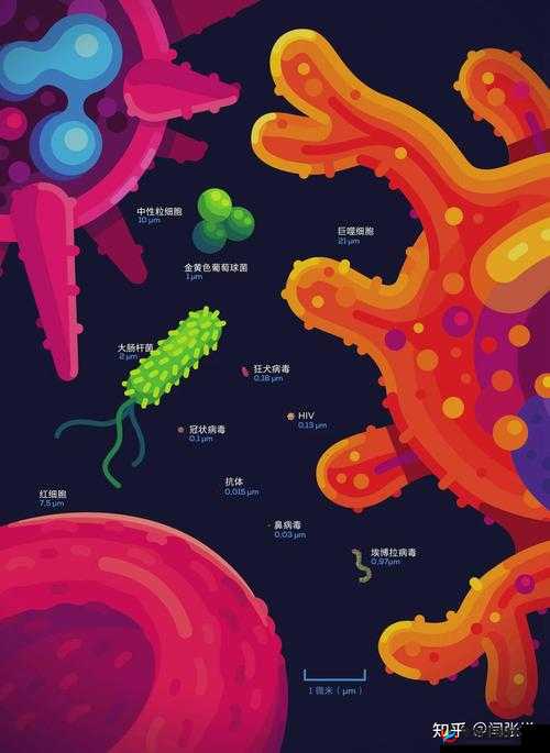 进入梦里超级肉禽系统：开启奇妙之旅