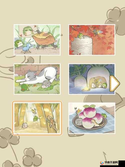 青蛙旅行与蝴蝶的奇妙相遇：如何捕捉精彩合影？起来揭秘