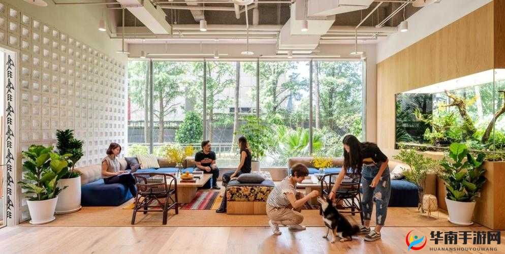 在办公室，能不能这样干：探索新的工作环境与个人边界