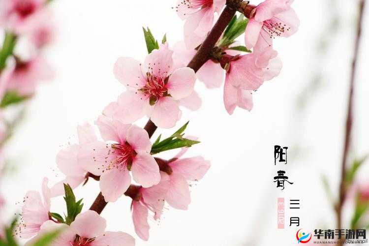 阳春止水 by 烟树小荞：唯美古风之作