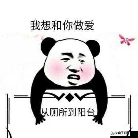 想和你一起：从厨房到阳台