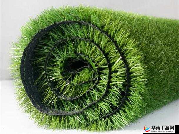 一马双跨是不是一种神奇的助力：相关探讨