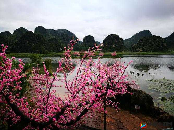 一处桃源千人品两片红唇万客来的桃源秘境：探秘之旅