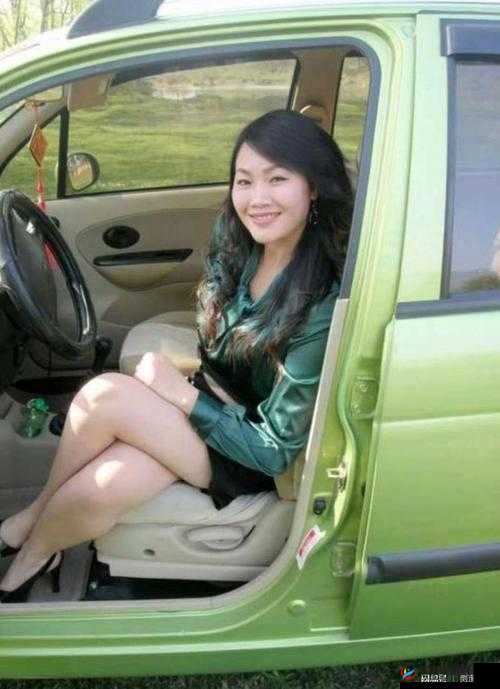 四川妇女 BBWBWBWM：一位普通妇女的故事