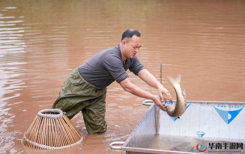关于小精灵大作战：抓宠物最高性价比攻略，精明捕捉，收获满满