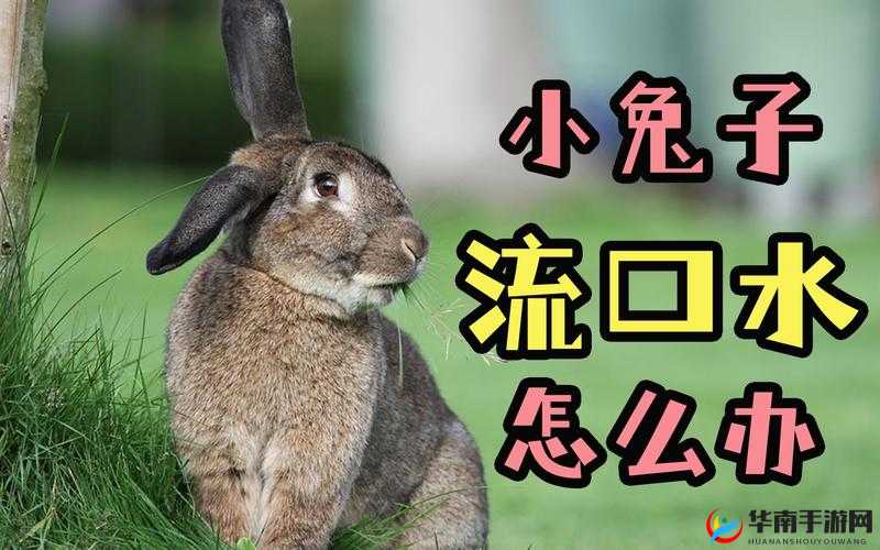 疯狂猜成语：兔子流口水 巧用量尺识成语——兔测风云·口水之尺