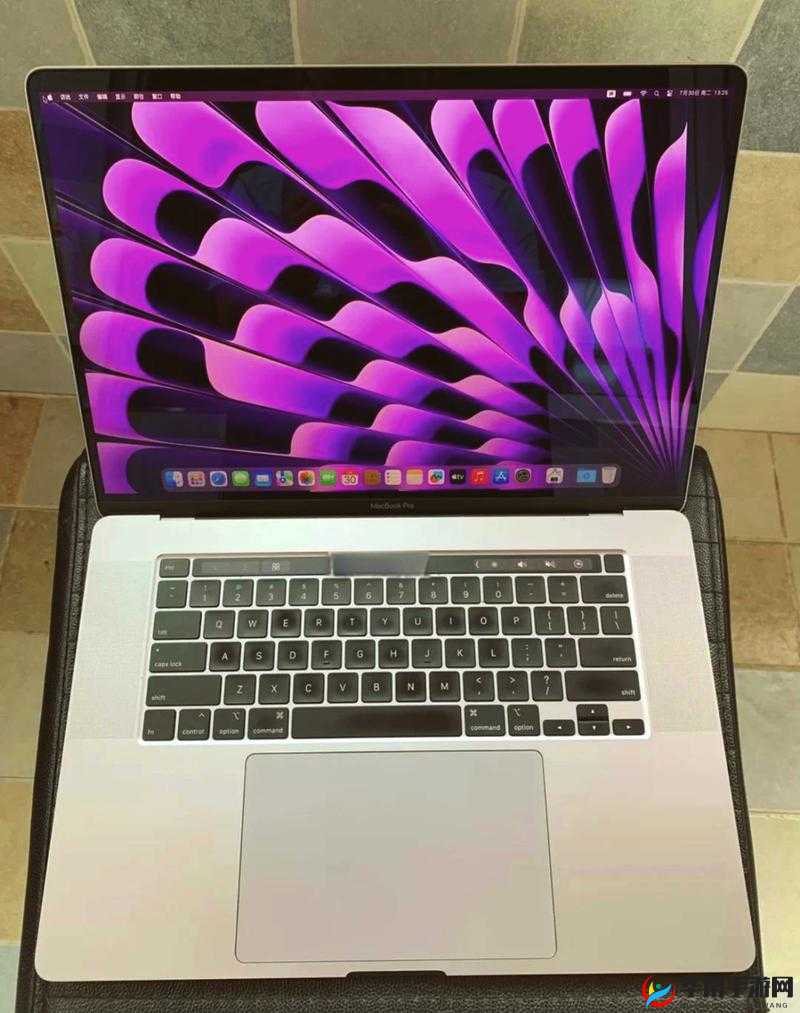 16 岁少年与日本的 16 岁 MacBook Pro