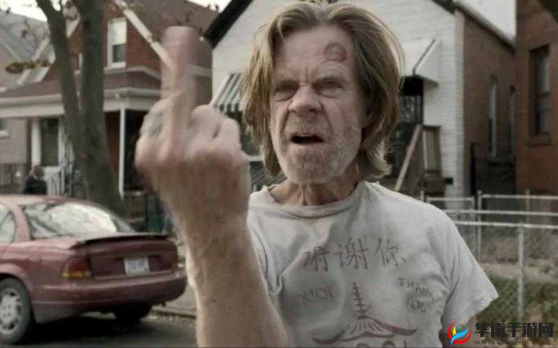 无耻家庭：弗兰克的混乱人生