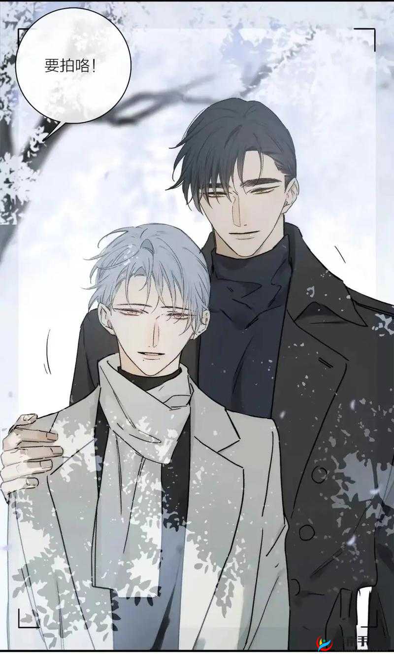 双男主高速飙车：激情与速度的较量