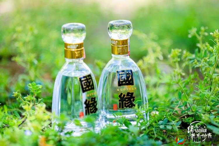 久产久精国酒，品质卓越享醇香
