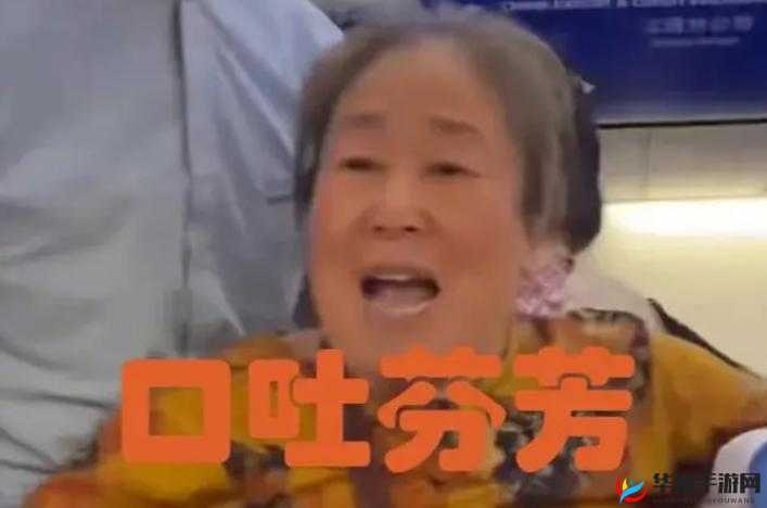 暴躁老阿姨的日常烦恼与趣事