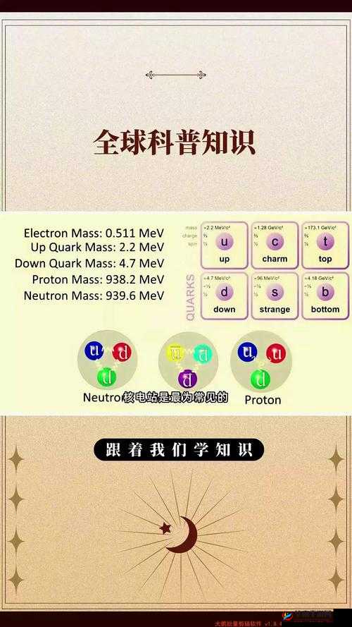 探索中老年人大 BWBWB 之奥秘