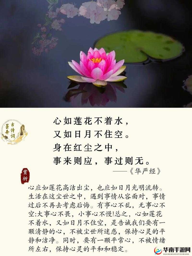 两瓣红莲今夜开，一池碧水盼君浴：情窦初开待君赏