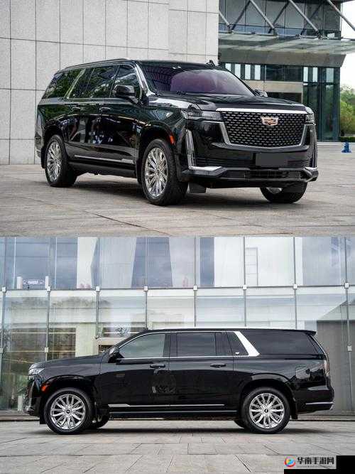 欧美大尺寸 SUV 车型：畅享豪华驾乘体验