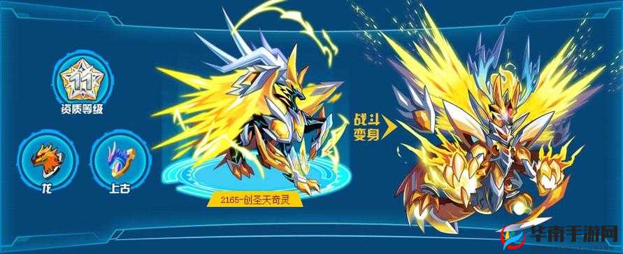 奥拉星创圣天奇灵解析：深度探索其强大之处