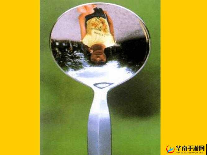 镜子里的我们：合体的奇妙景象