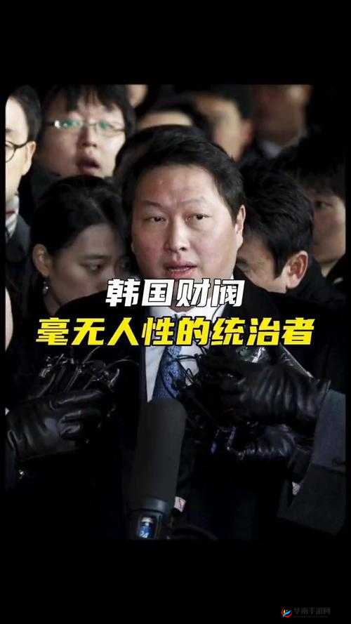 韩国财阀:权力与腐败的交织