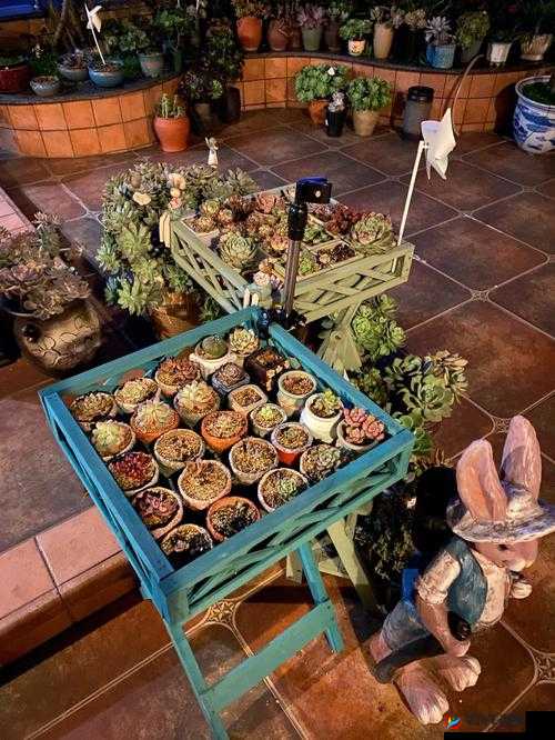 老公：每天晚上吃小花园好吗