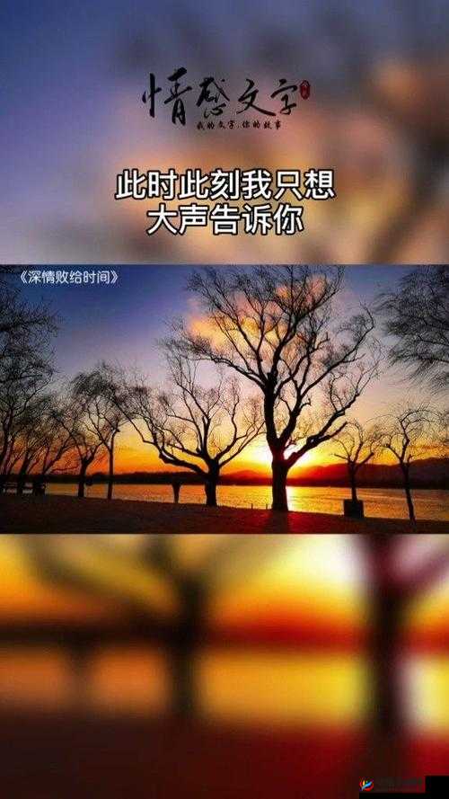 我想你高清 MV 观看视频：浪漫情感尽情领略
