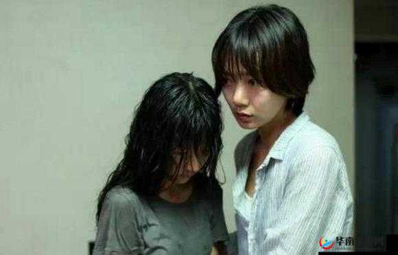 青春禁区视频在线观看:精彩内容不容错过