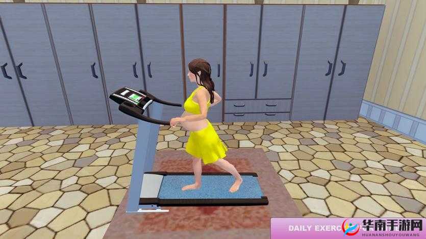 WINDOWSCHANNEL孕妇 3D:相关介绍