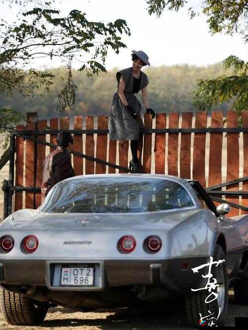 喜宝坐公交 TXT :一段别样的旅途故事