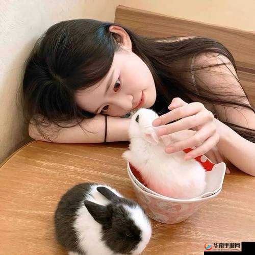 微信最强连连4级第56关通关攻略